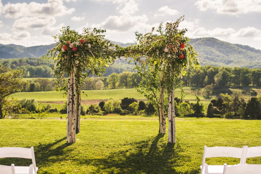 4-29-16-gorgeous-winery-vineyard-wedding-charlottesville-virginia-pippin-hill-6