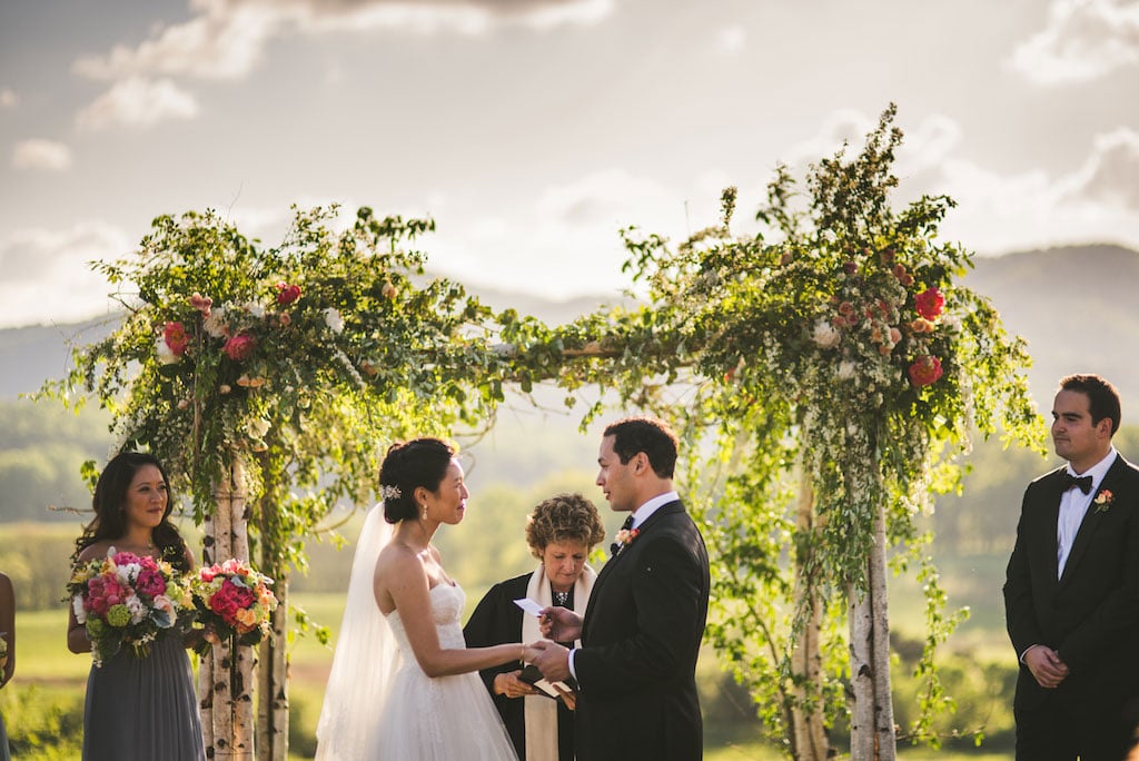 4-29-16-gorgeous-winery-vineyard-wedding-charlottesville-virginia-pippin-hill-8