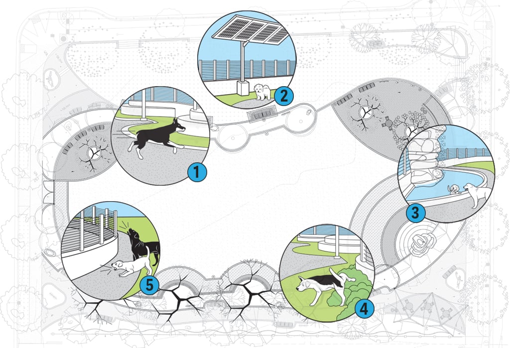 DogPark_rendering_2 - Washingtonian