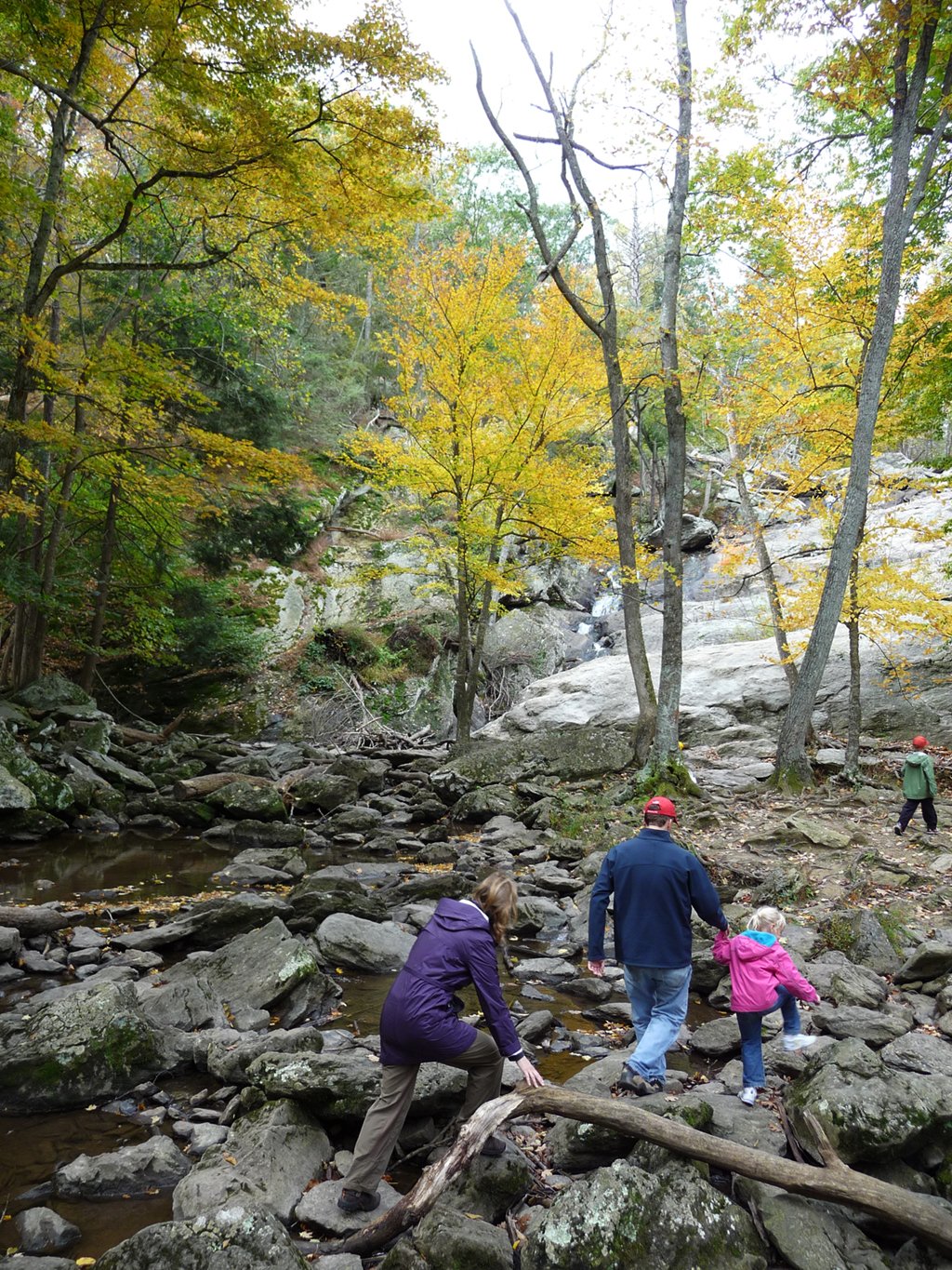 great hikes near dc