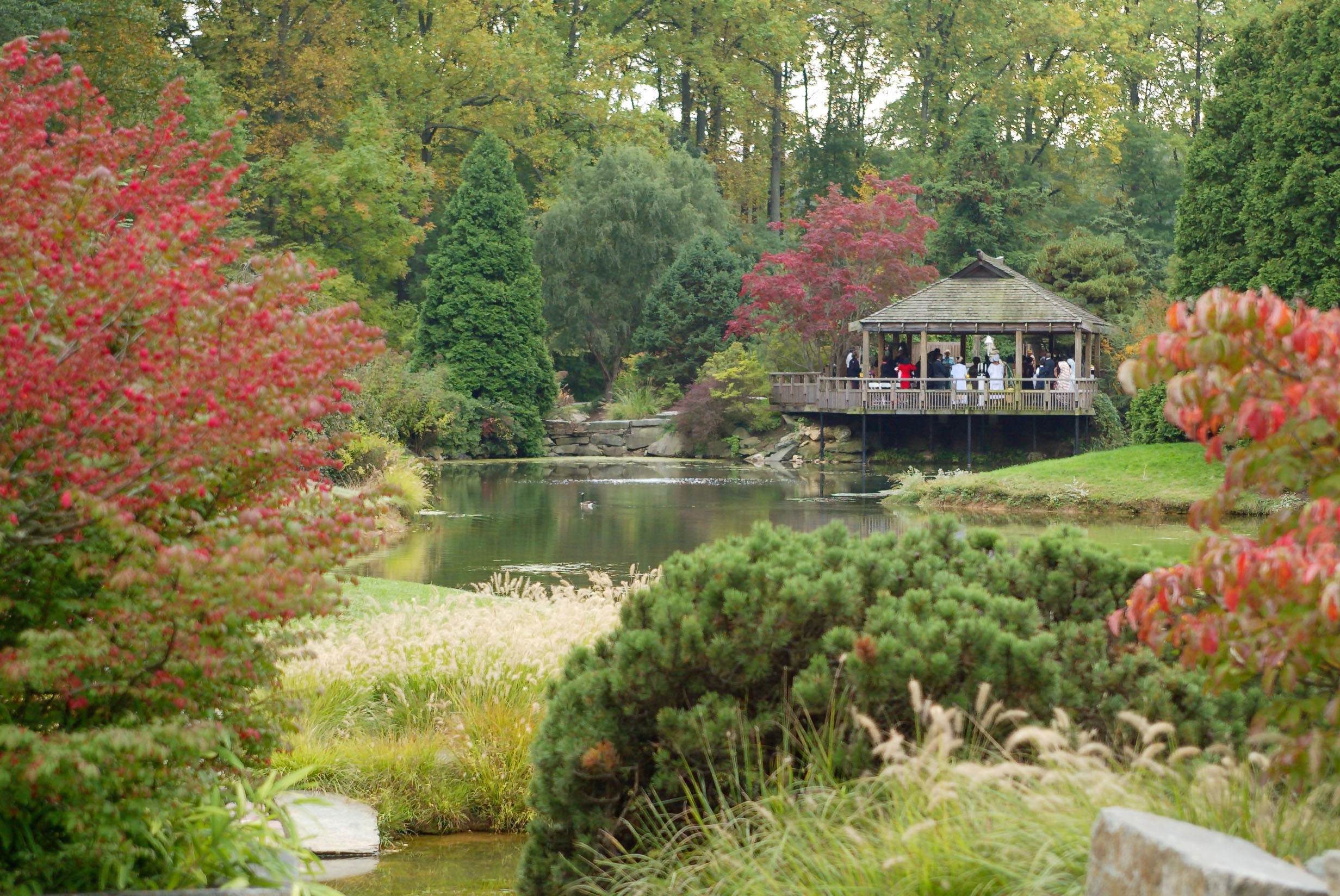 Park Wars Theodore Roosevelt Island V Brookside Gardens