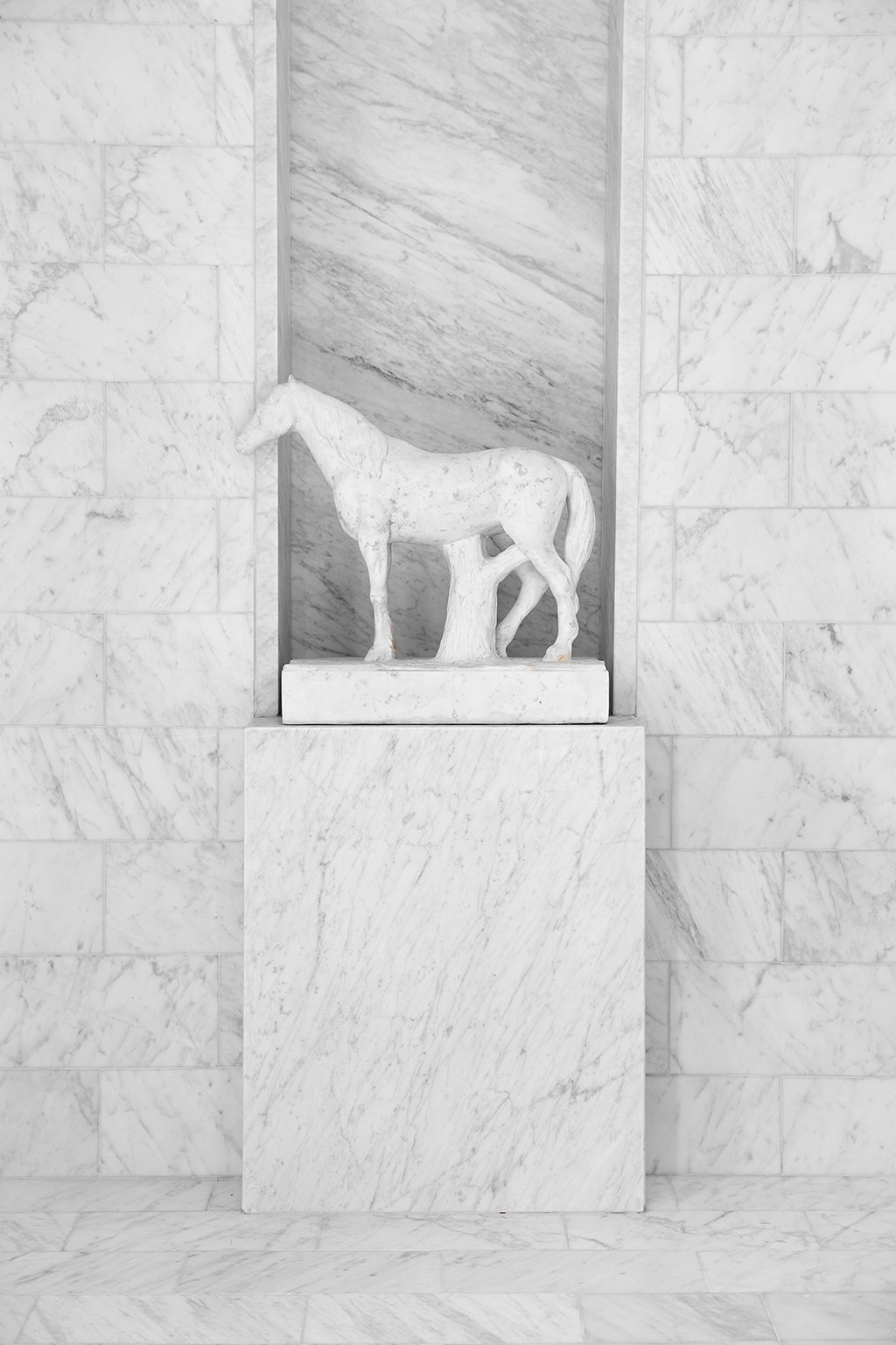 Darryl_Carter_marble_horse - Washingtonian master bathroom