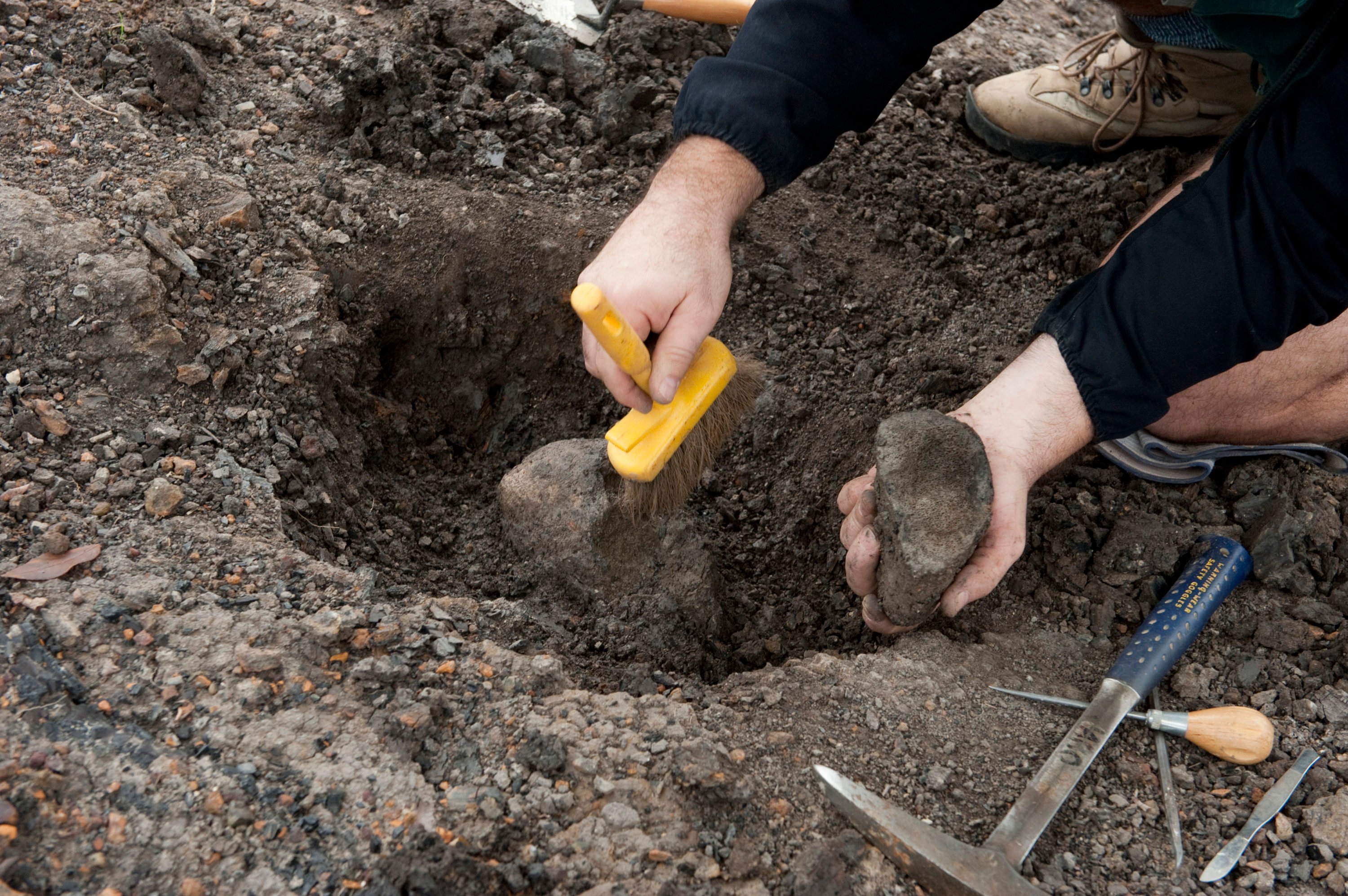 Dinosaur Bone found at Dinosaur Park Photographed: 2011 By: Cassi Hayden