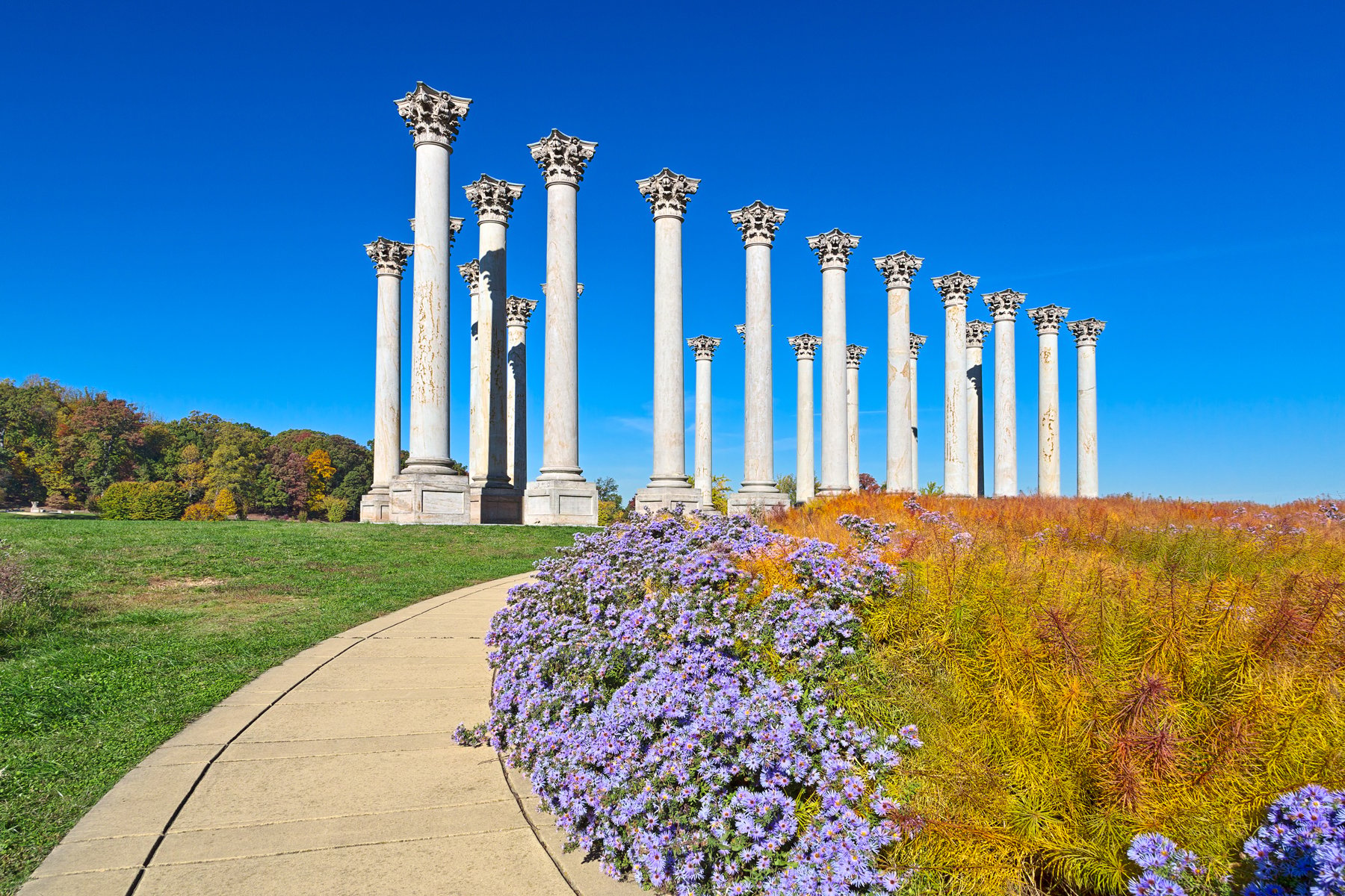 National-Arboretum-Nicolas-Raymond