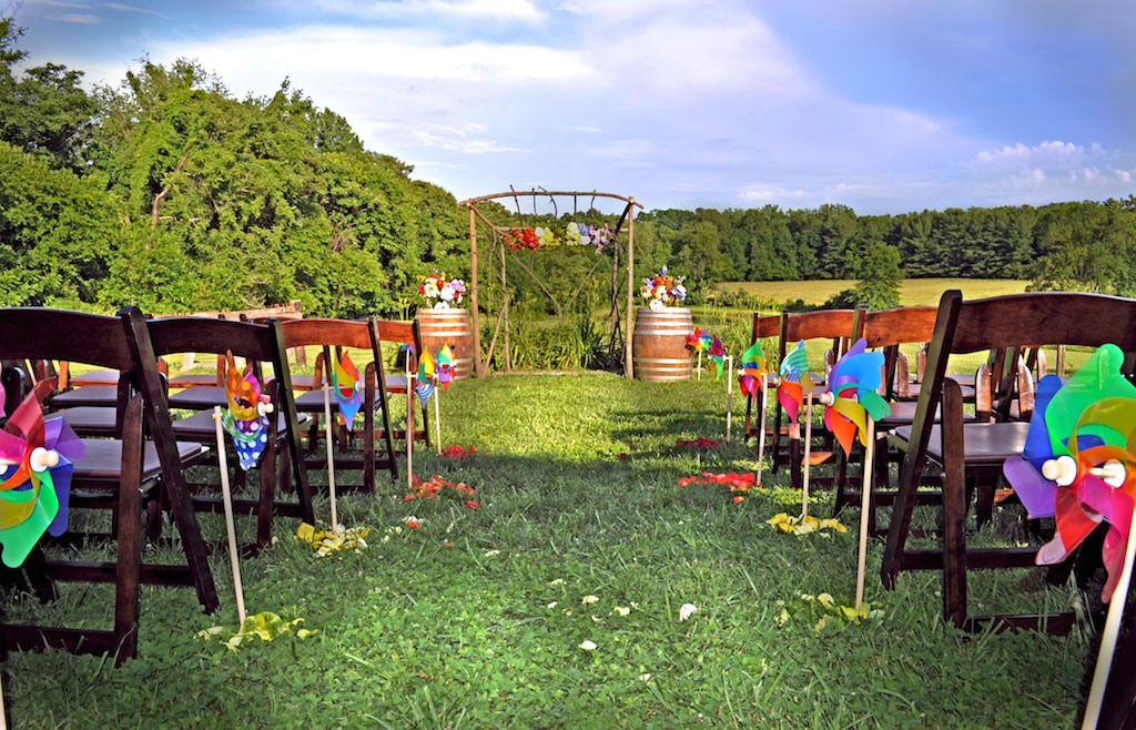 6-10-16-rainbow-same-sex-vineyard-wedding-virginia-6