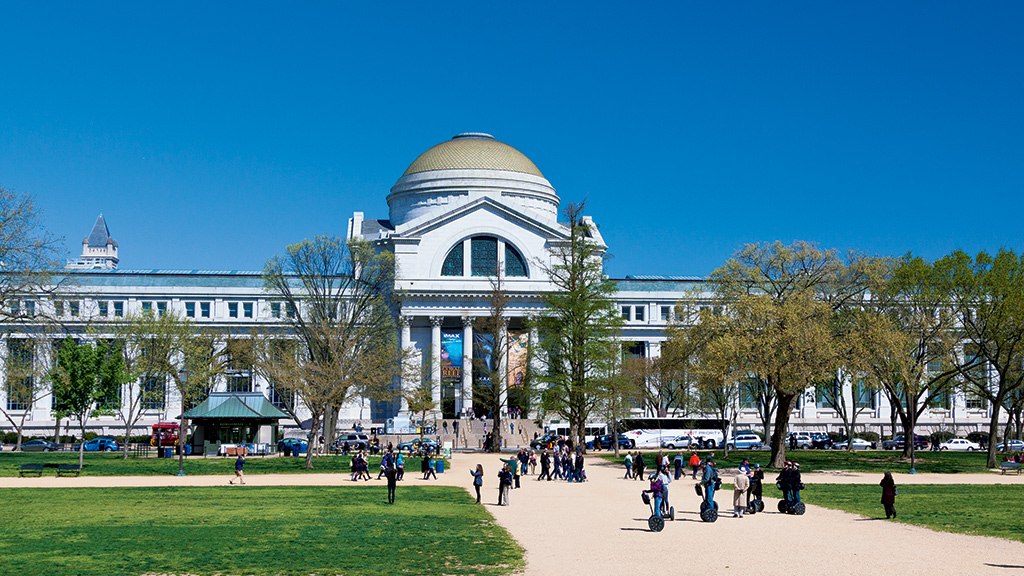 Summer associates in DC