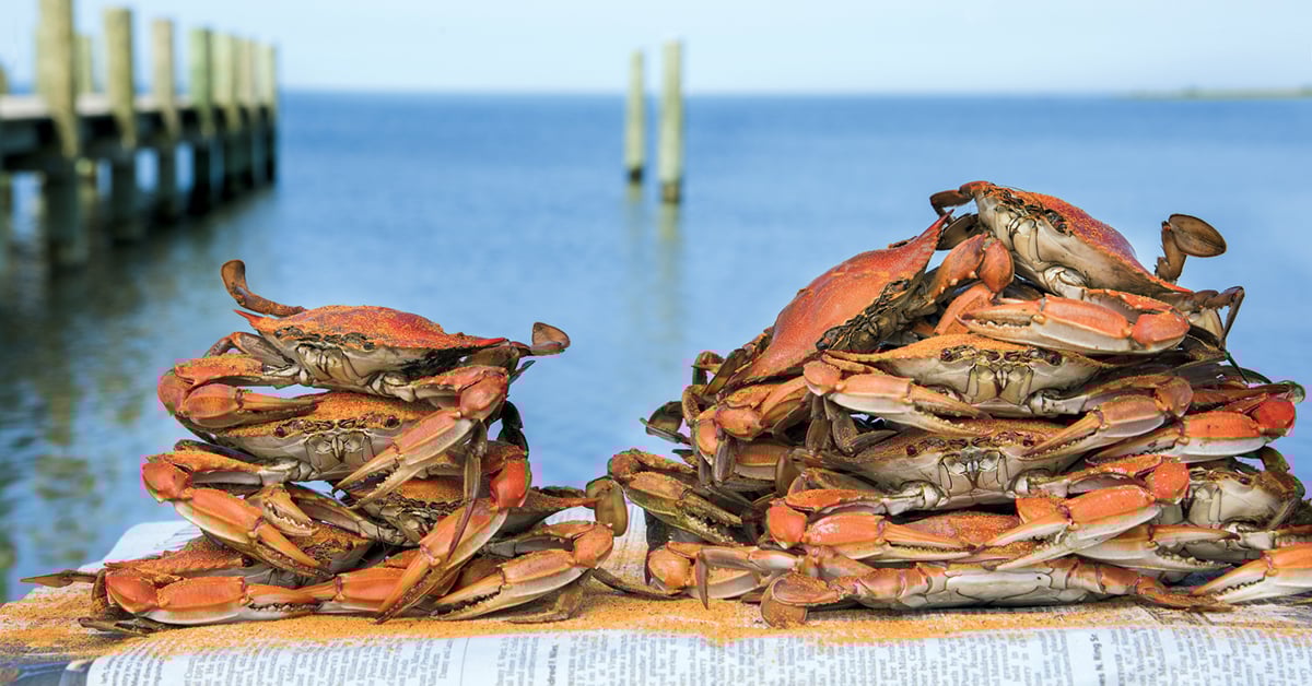 chesapeake-bay-festivals-steamed-crabs_fbsocial - Washingtonian Photograph by Jay Fleming.