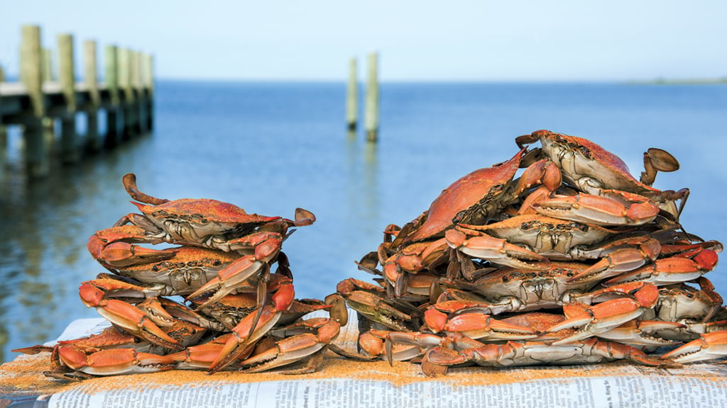 Don't miss tasty crabs, yacht races, and more Chesapeake Bay festivals happening this summer. Photograph by Jay Fleming.