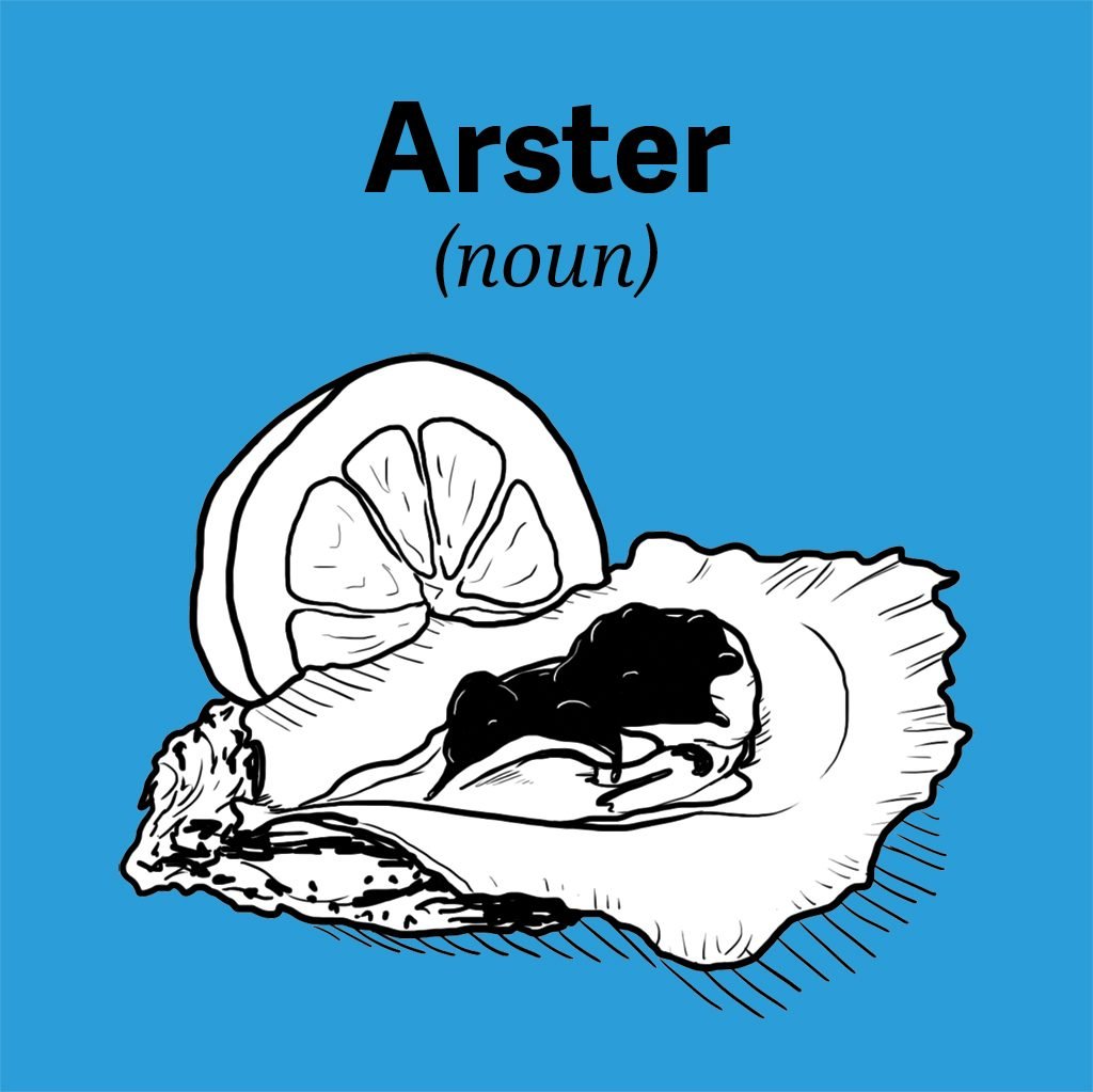 chesapeake-bay-vocab-arster