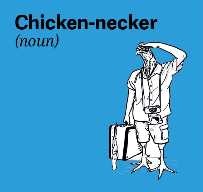 chesapeake-bay-vocab-chicken-necker