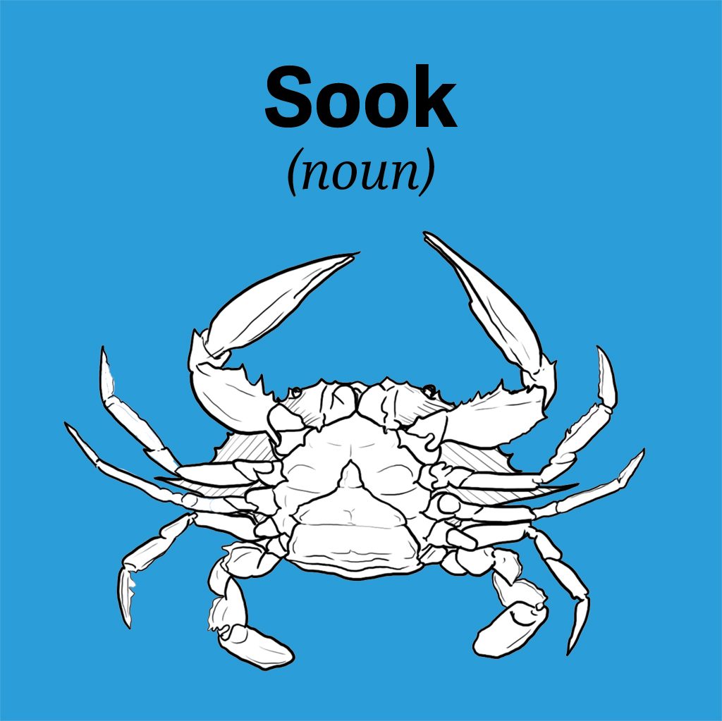 chesapeake-bay-vocab-sook