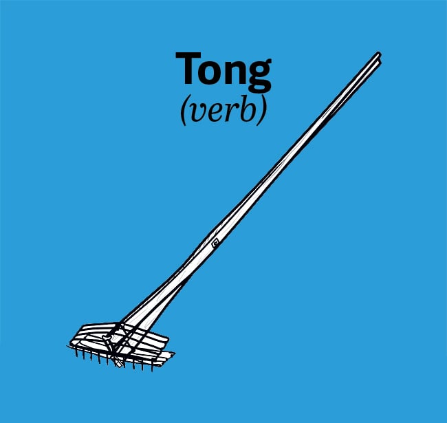 chesapeake-bay-vocab-tong