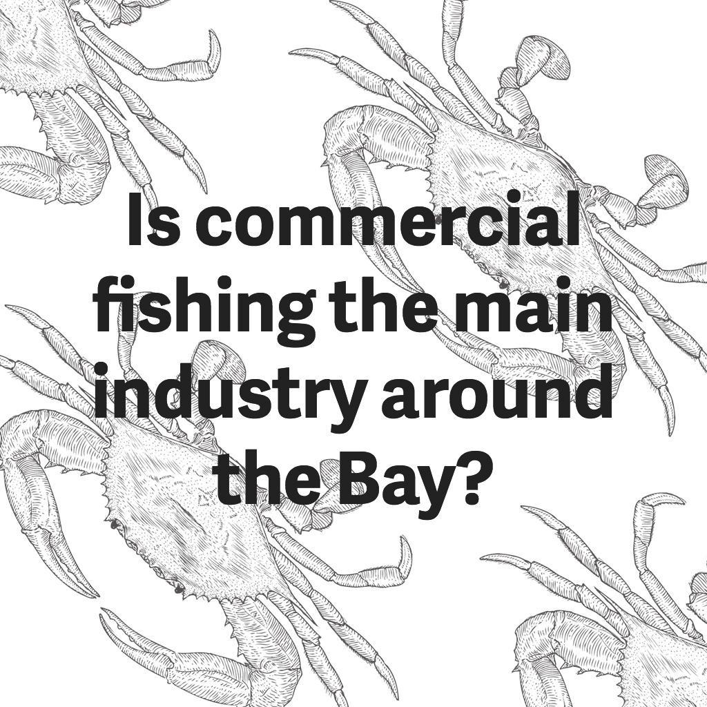 commercial-fishing-around-chesapeake-bay