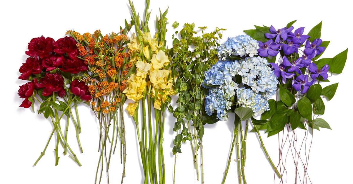 Beautiful Flowers That Will Grow In DC's Hot and Humid Summers