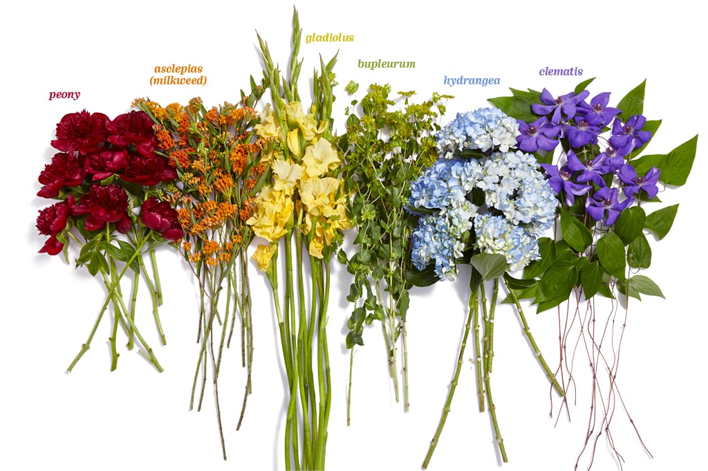 types of flowers