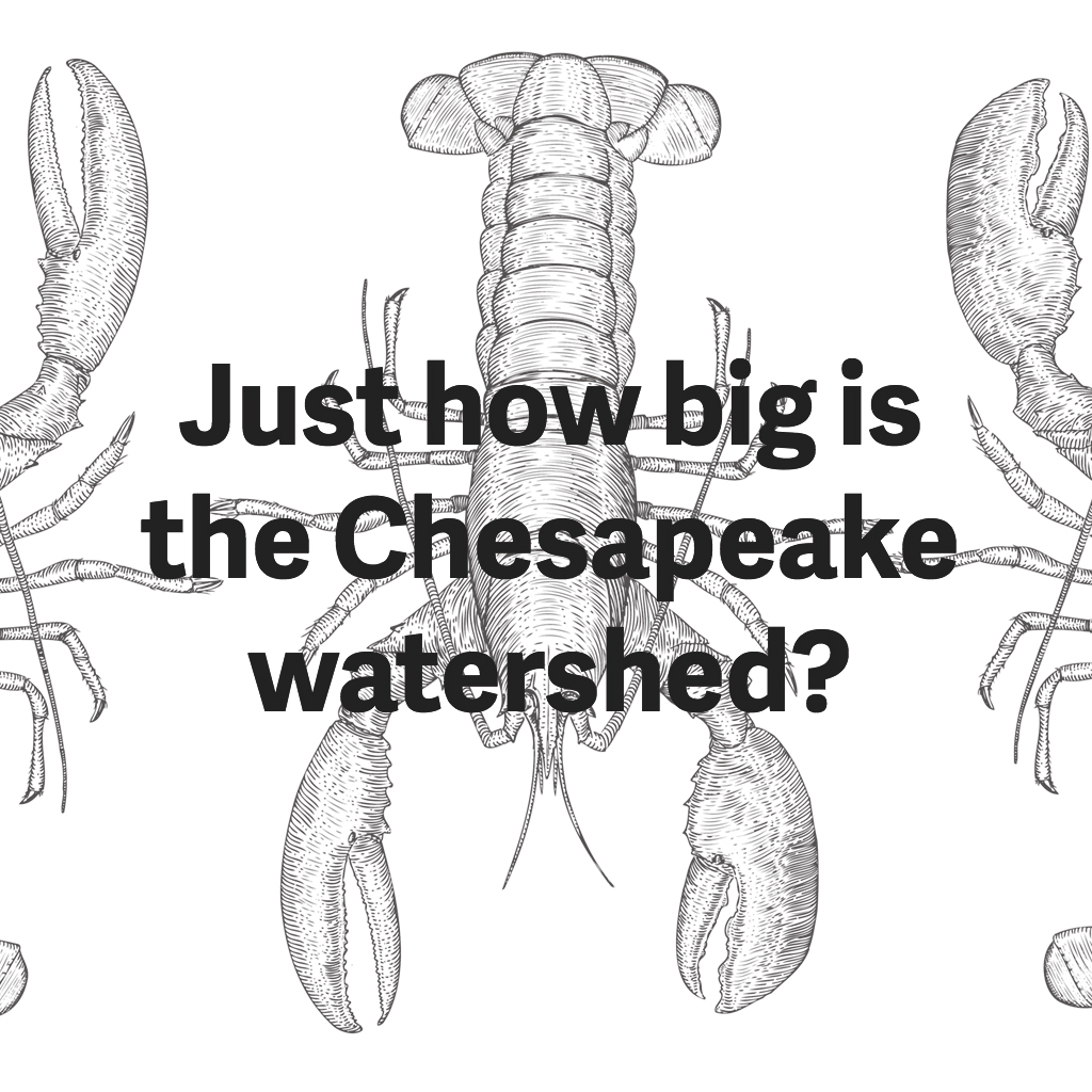 how-big-chesapeake-watershed