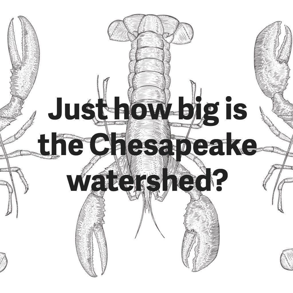 how-big-chesapeake-watershed