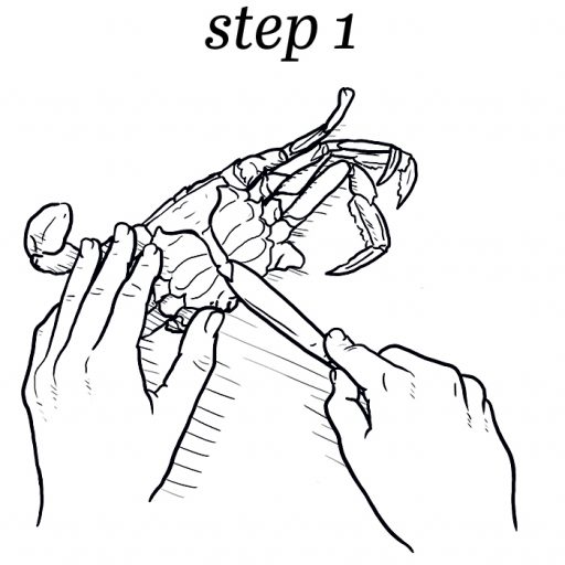 How to Pick a Crab - Washingtonian