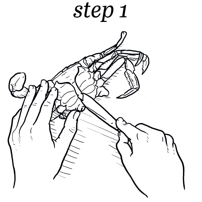 How to eat a crab