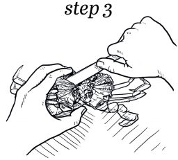 How to Pick a Crab - Washingtonian