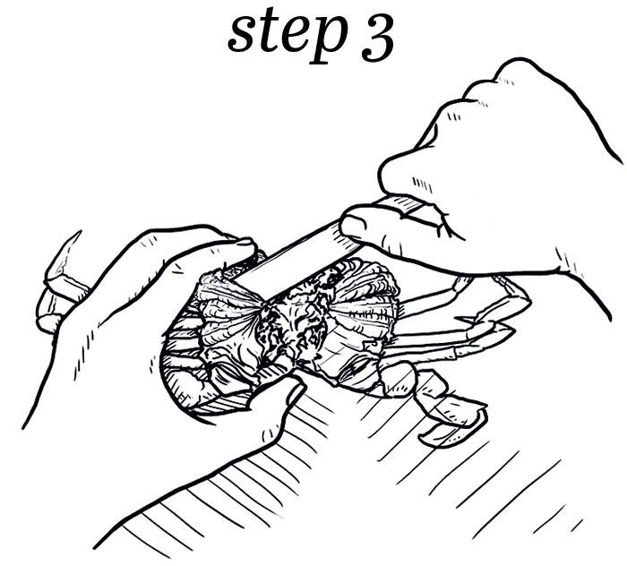 How to eat a crab