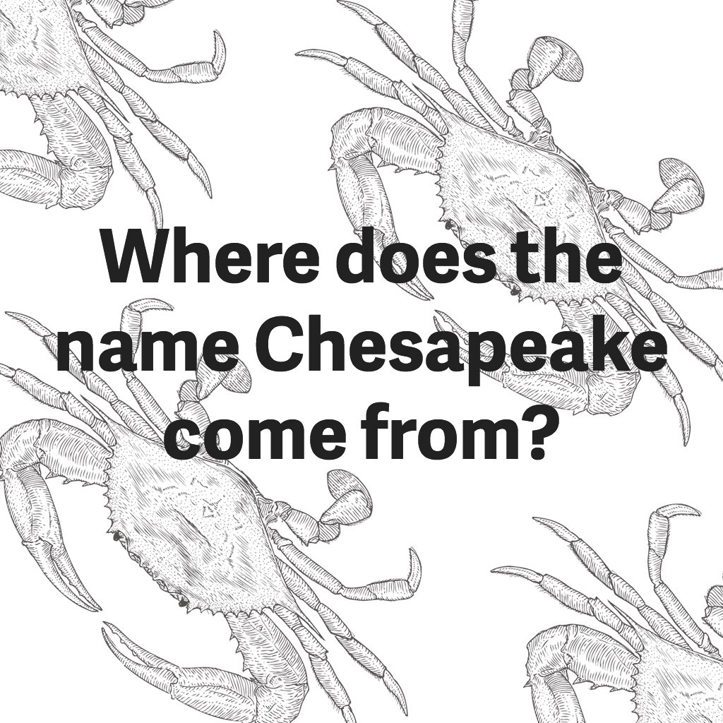 name-chesapeake