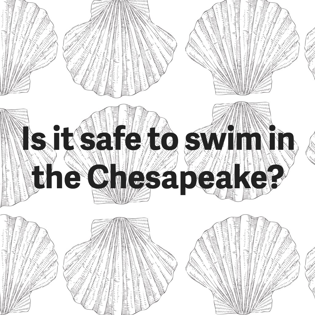 safe-to-swim-chesapeake