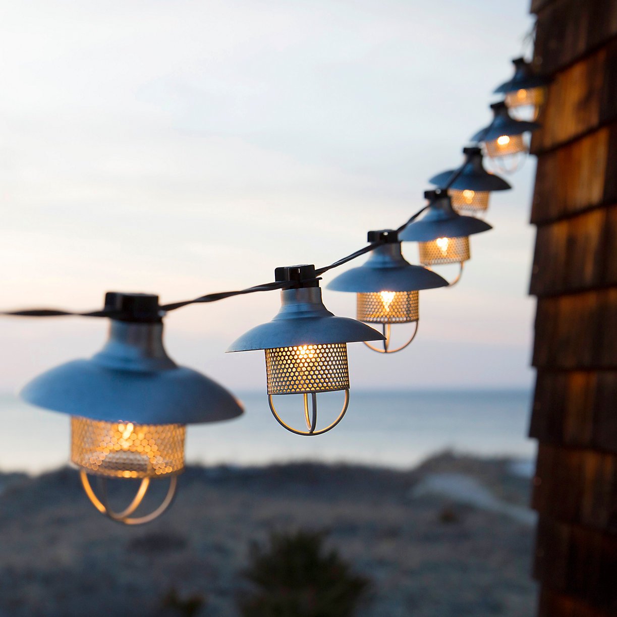 string_lights-terrain - Washingtonian string_lights-terrain