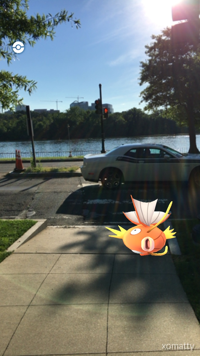 A Magikarp flops around near the Tidal Basin. Screenshot courtesy Matt Ingram.