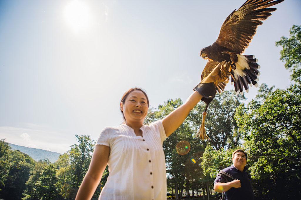 7-21-16-falconry-proposal-engagement-virginia-omni-homestead-resort-1