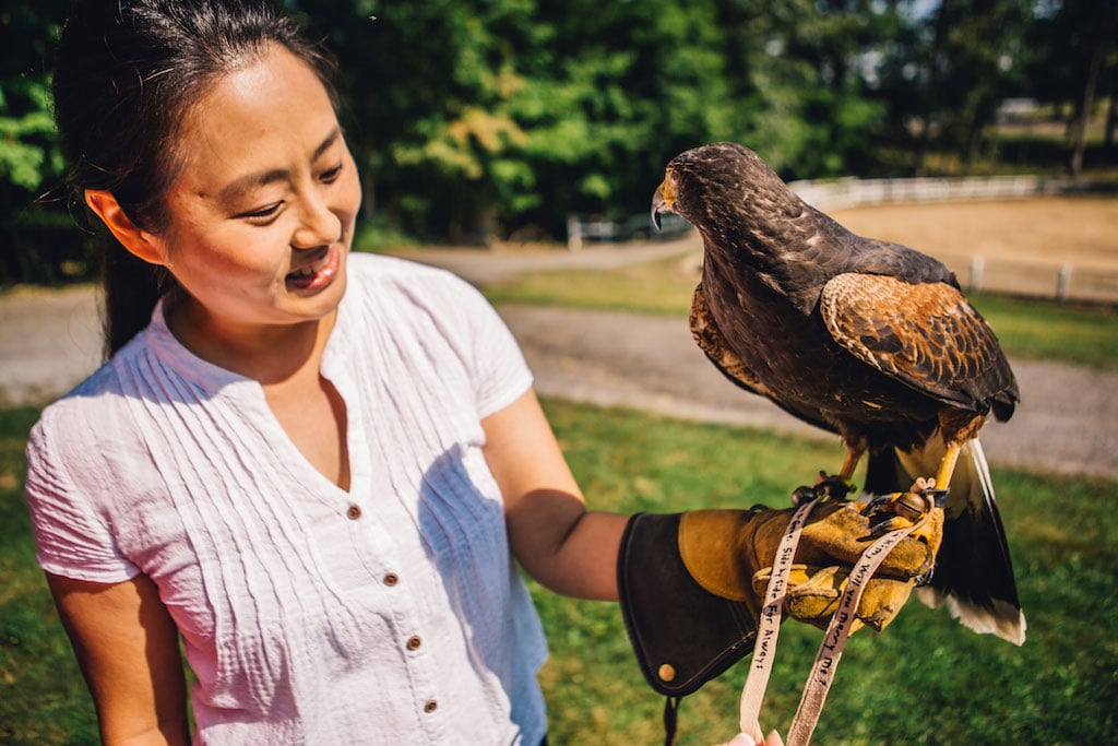 7-21-16-falconry-proposal-engagement-virginia-omni-homestead-resort-3