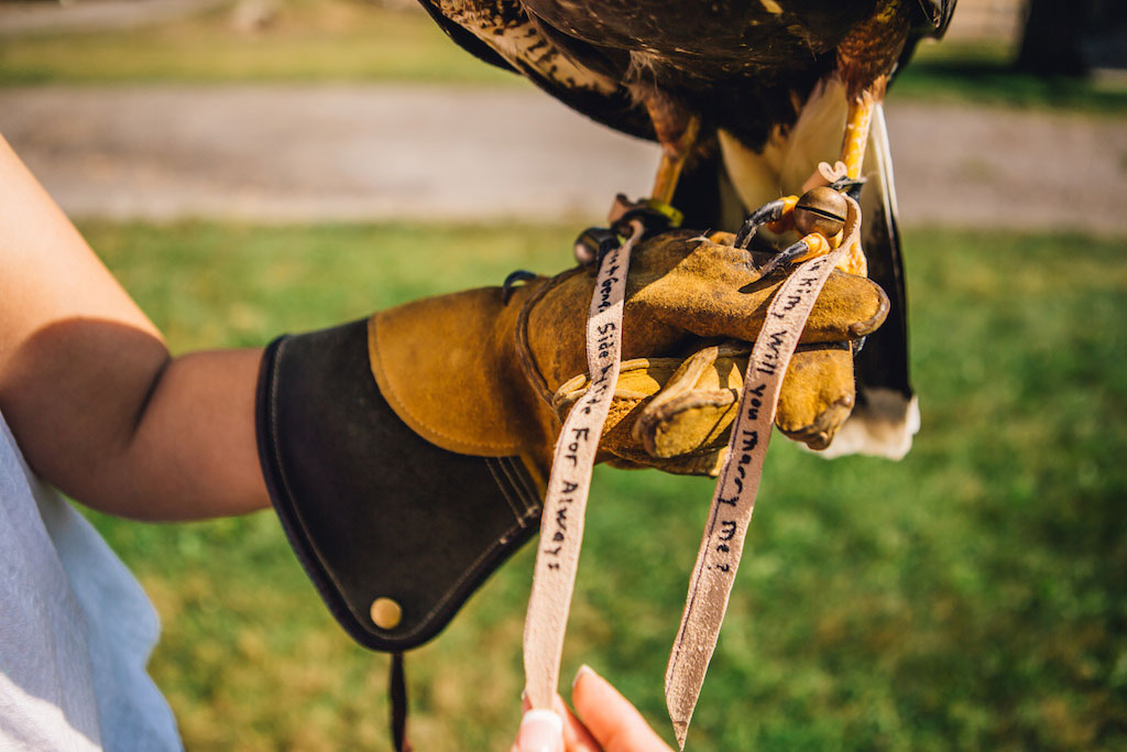 7-21-16-falconry-proposal-engagement-virginia-omni-homestead-resort-4