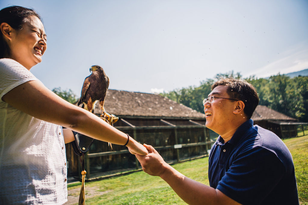 7-21-16-falconry-proposal-engagement-virginia-omni-homestead-resort-5