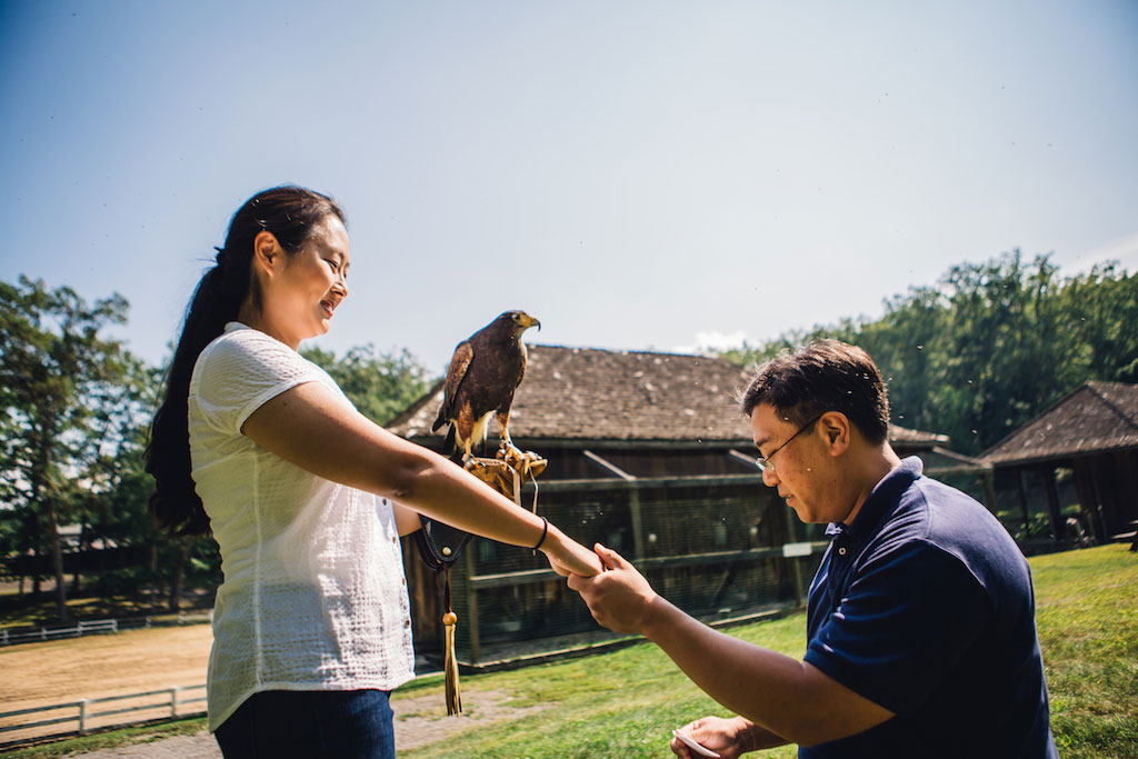 7-21-16-falconry-proposal-engagement-virginia-omni-homestead-resort-6