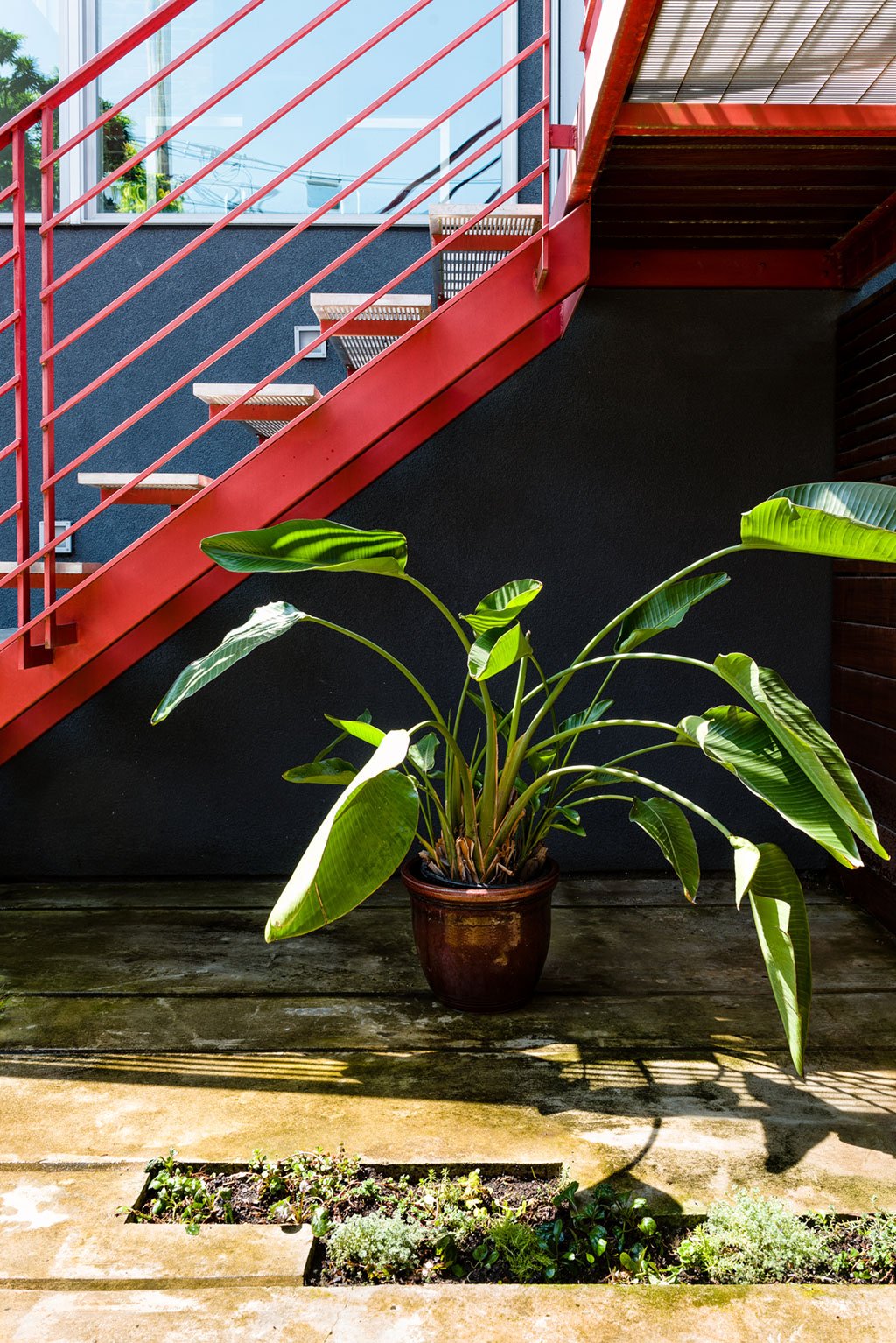 The powder-coated steel walkway links the deck with the house's breakfast room and leads down to a miniature garden. Photograph by Andrew Propp.