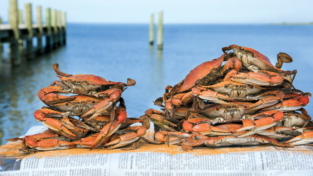 chesapeake bay crab houses Photograph by Jay Fleming.