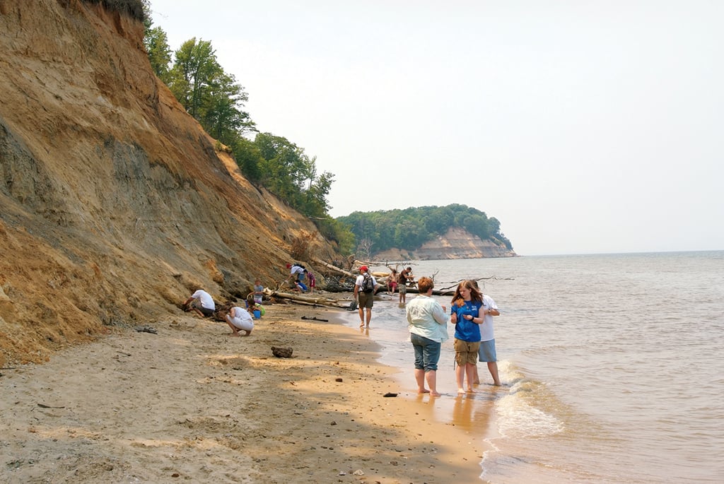 chesapeake-bay-dig-fossils - Washingtonian Photograph by Michael Ventura/Alamy.