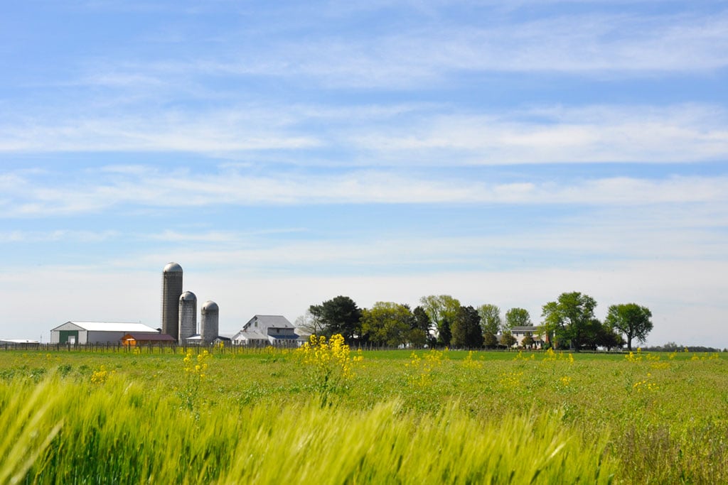 Crow Farmstay B&B. Photograph by <a href="http://loblolly.biz/" target="_blank">Loblolly</a>.