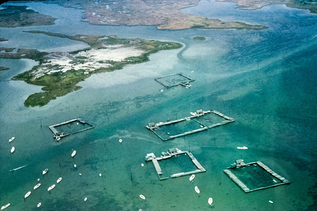 An aerial view of crab pens around Tangier Island in 1964. Photograph by Flickr user <a href="https://www.flickr.com/photos/29388462@N06/20673576142/">Chesapeake Bay Program</a>.