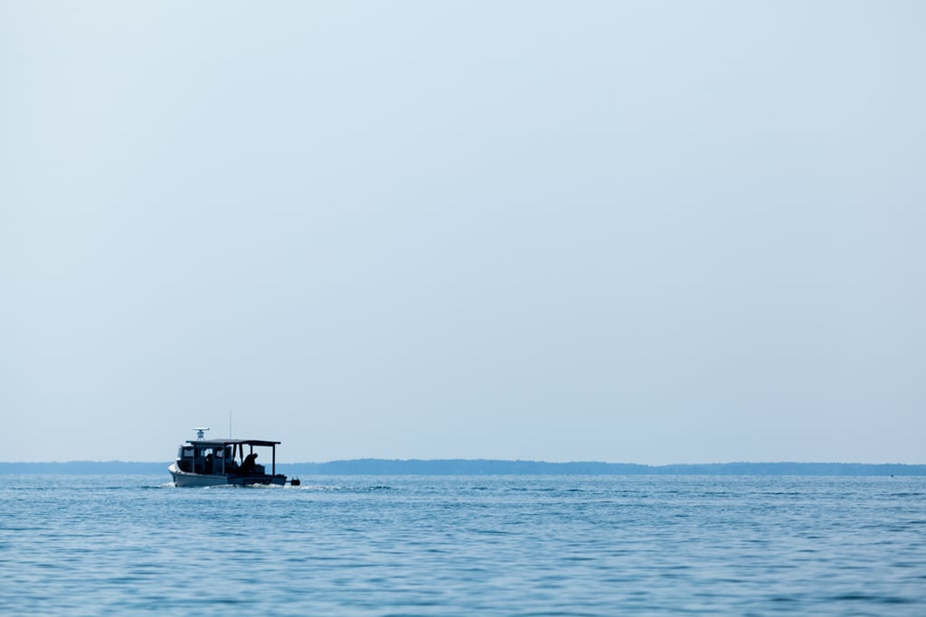 Tilghman Island. Photograph by Flickr user <a href='"https://www.flickr.com/photos/29388462@N06/23406215019/">Chesapeake Bay Program</a>.