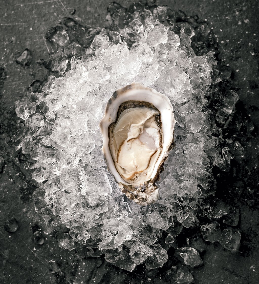 Asian oysters in the chesapeake bay Bebe buell and liv tyler lesbian