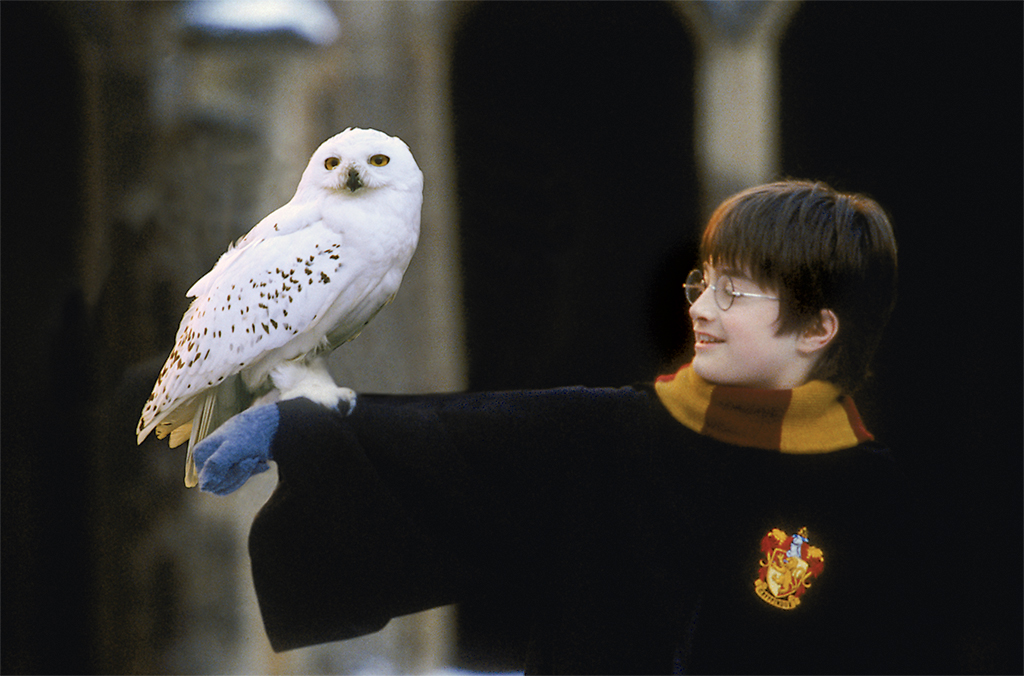 things-to-do-in-dc-august-harry-potter-bso - Washingtonian Photograph courtesy of Warner Bros./Baltimore Symphony Orchestra.