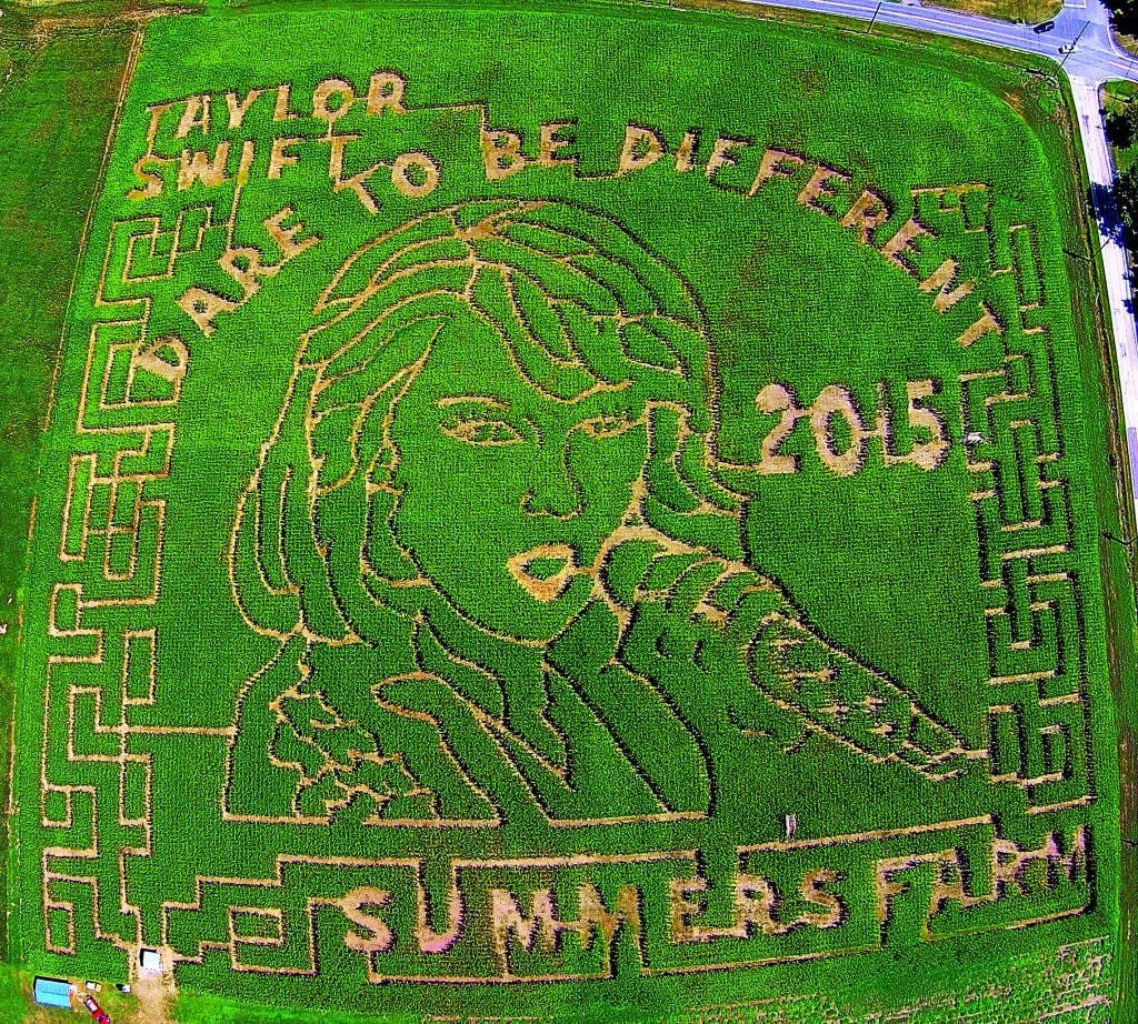 Last year, Summer's Farm in Frederick cut a maze in the shape of Taylor Swift's face. Photo courtesy of Summer's Farm.