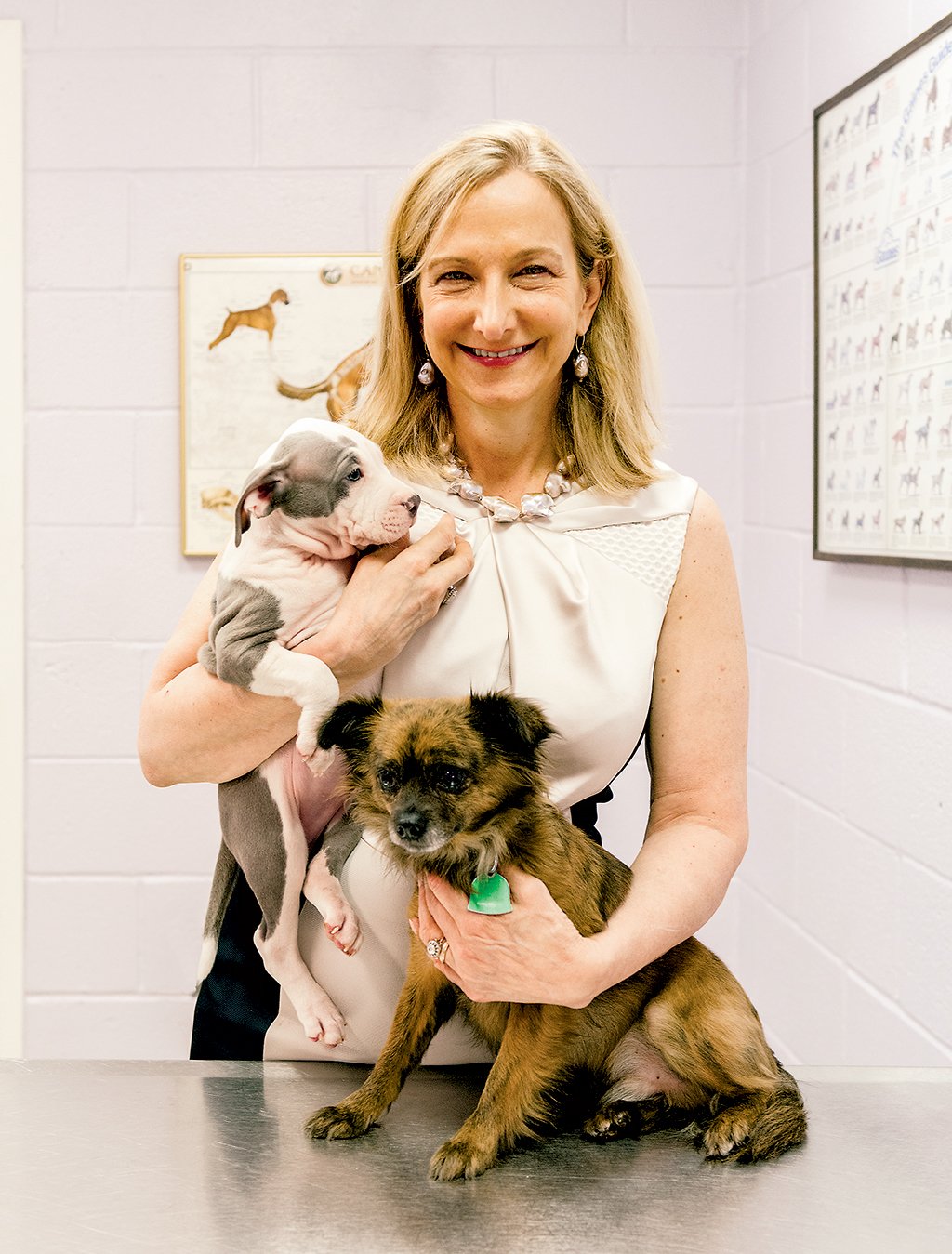 DC Animal Shelters: DC’s animal group, led by Lisa LaFontaine, is now the most comprehensive in the country. Photograph by Andrew Propp.