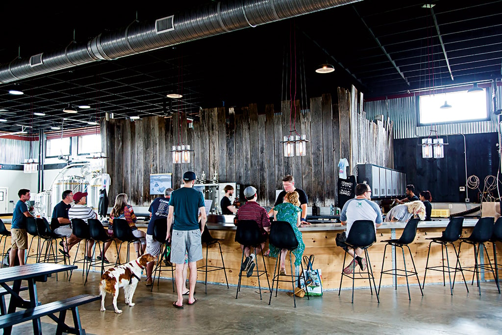 Vanish Brewery is on a hops farm in Lucketts. (And it's dog-friendly!) Photograph by Scott Suchman.