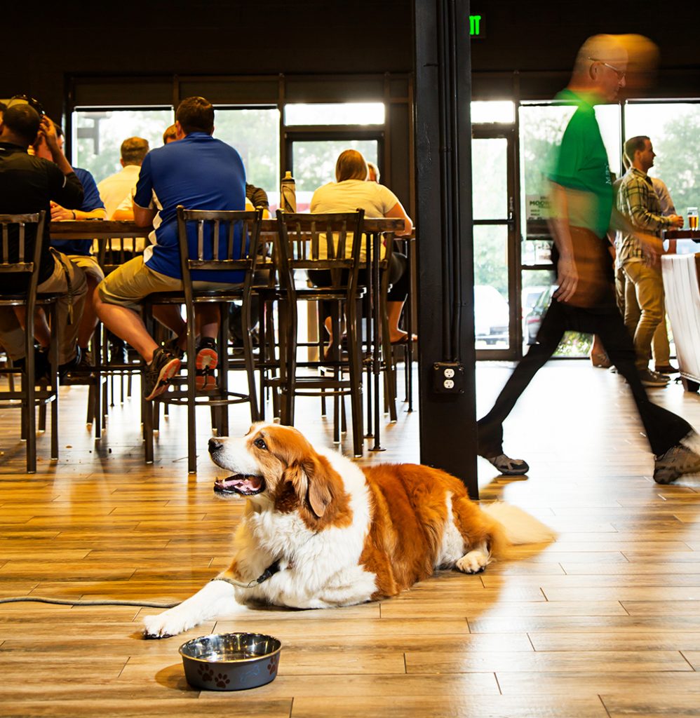 Jailbreak has space for big groups (and big dogs!). Photograph by Scott Suchman.