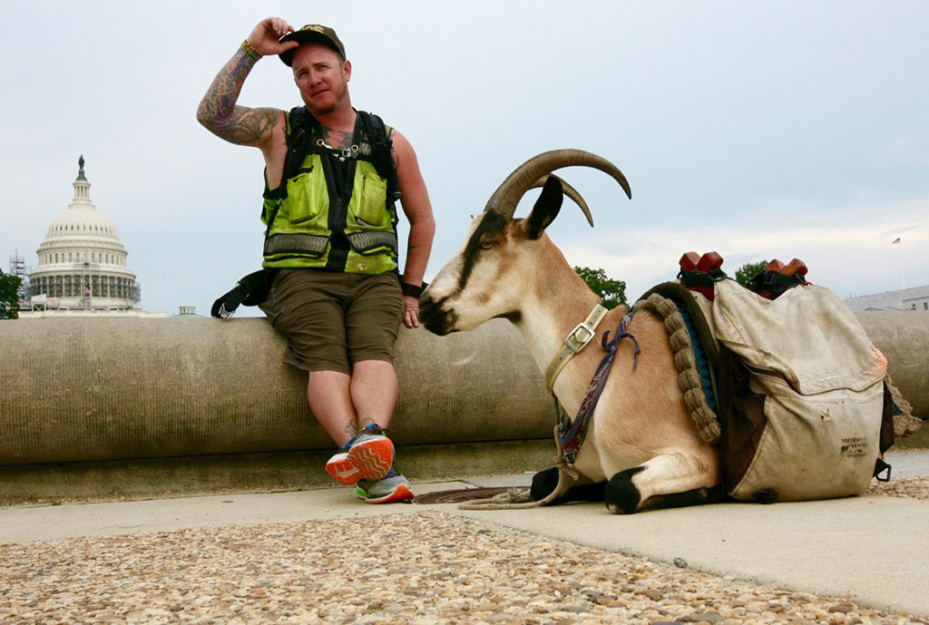 Miles Goat National Mall