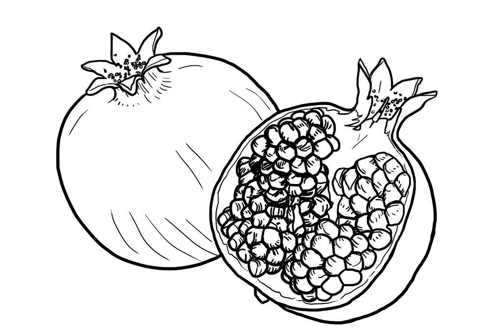 pomegranate-illo - Washingtonian Illustration by Claire McCracken.