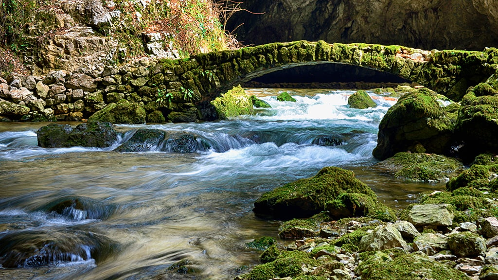 Rock Creek Park. Photograph via iStock.