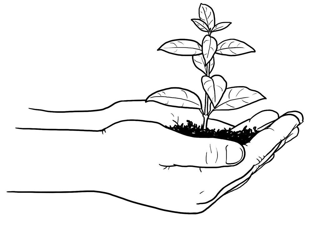sprout-illo - Washingtonian Illustration by Claire McCracken.